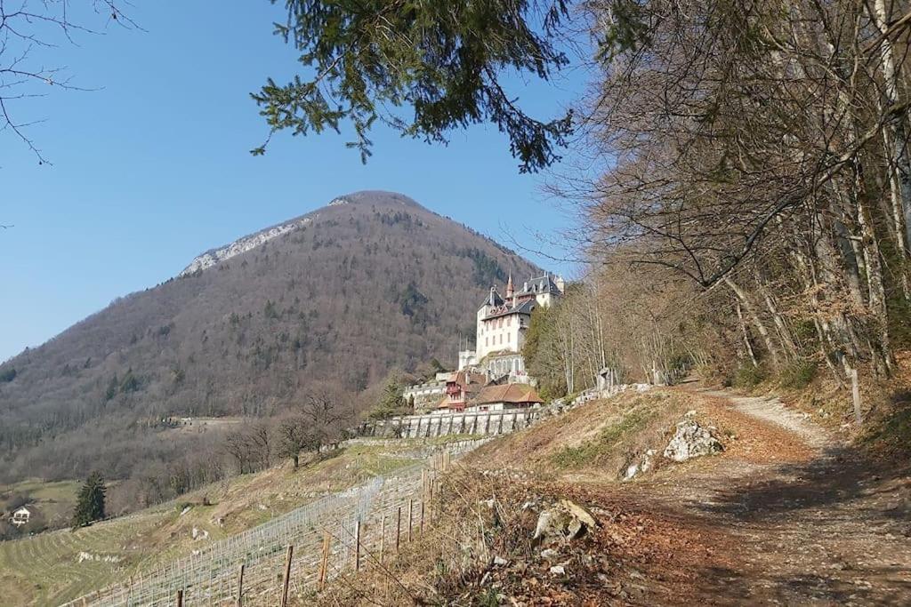 Charmant Appartement Lac D'Annecy / Ski - 6 Pers Menthon-Saint-Bernard Eksteriør bilde